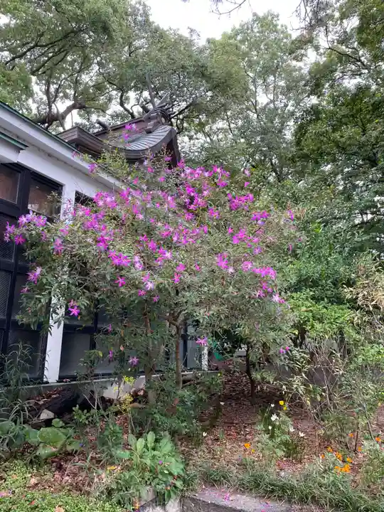 水堂須佐男神社(兵庫県)