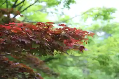 宝満宮竈門神社(福岡県)