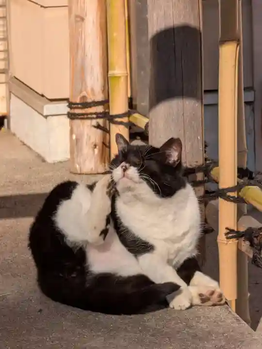 白金氷川神社(東京都)