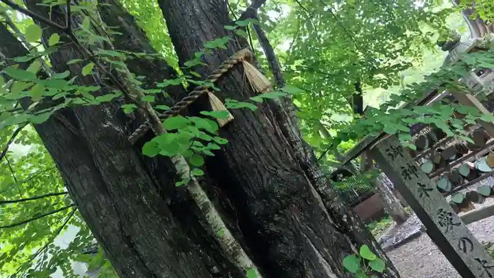 梨木神社(京都府)