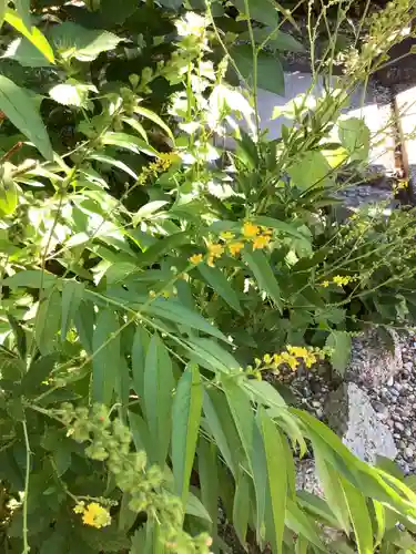 三輪神社の自然