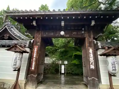 青蓮院門跡の山門・神門