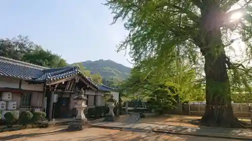 丹生酒殿神社の本殿・本堂
