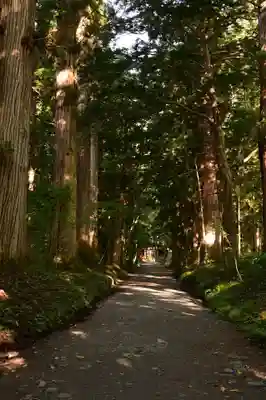 戸隠神社奥社(長野県)