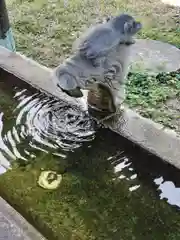 本照寺(大阪府)