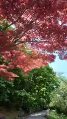 相馬神社の自然