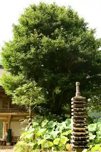 定福寺(高知県)