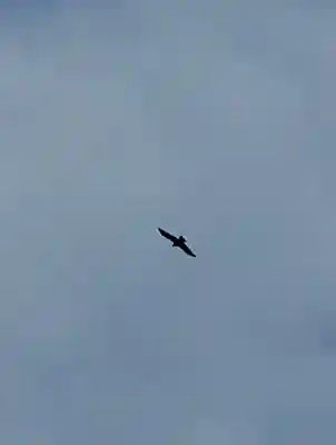 宗龍寺(長野県)