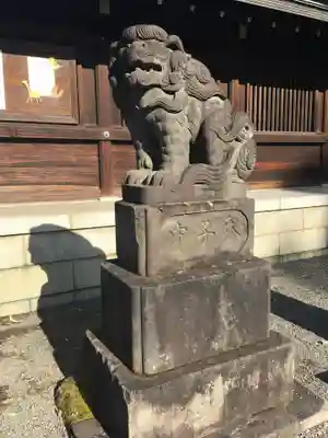 井草八幡宮の狛犬