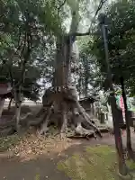 沓掛香取神社の{uncategorized: "未分類", other: "その他", undefined: "問題あり", building: "その他建物", grave: "お墓", sacred_gate: "鳥居", guardian: "狛犬", statue: "像", buddha: "仏像", history: "歴史", nature: "自然", garden: "庭園", animal: "動物", pagoda: "塔", temizu: "手水舎", mountain_gate: "山門・神門", sanctuary: "本殿・本堂", subordinate: "末社・摂社", art: "芸術", scenery: "景色", jizo: "地蔵", ema: "絵馬", goshuin: "御朱印", omikuji: "おみくじ", items: "授与品その他", amulet: "お守り", goshuincho: "御朱印帳", eats: "食事", festival: "お祭り", votive_dance: "神楽", shichigosan: "七五三参", wedding: "結婚式", experience: "体験その他", initially: "初詣", around: "周辺", anti_infection: "感染症対策"}