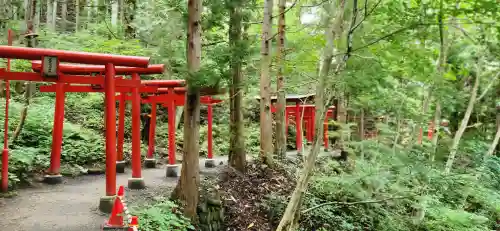 萬蔵稲荷神社の鳥居