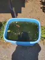 明王院(群馬県)