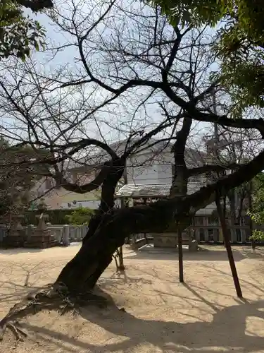 打出天神社の庭園