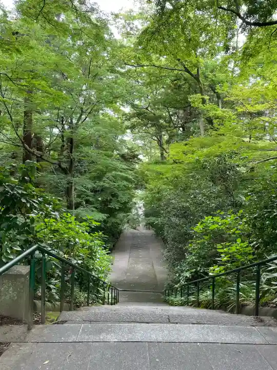 妙本寺の{uncategorized: "未分類", other: "その他", undefined: "問題あり", building: "その他建物", grave: "お墓", sacred_gate: "鳥居", guardian: "狛犬", statue: "像", buddha: "仏像", history: "歴史", nature: "自然", garden: "庭園", animal: "動物", pagoda: "塔", temizu: "手水舎", mountain_gate: "山門・神門", sanctuary: "本殿・本堂", subordinate: "末社・摂社", art: "芸術", scenery: "景色", jizo: "地蔵", ema: "絵馬", goshuin: "御朱印", omikuji: "おみくじ", items: "授与品その他", amulet: "お守り", goshuincho: "御朱印帳", eats: "食事", festival: "お祭り", votive_dance: "神楽", shichigosan: "七五三参", wedding: "結婚式", experience: "体験その他", initially: "初詣", around: "周辺", anti_infection: "感染症対策"}