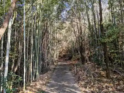 野間山神社の周辺