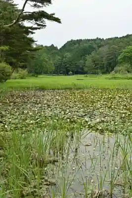 黒澤大師(徳島県)