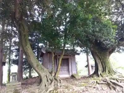 神明神社(福井県)