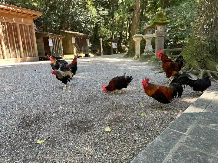 石上神宮の動物