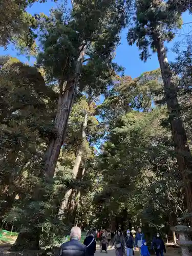鹿島神宮(茨城県)