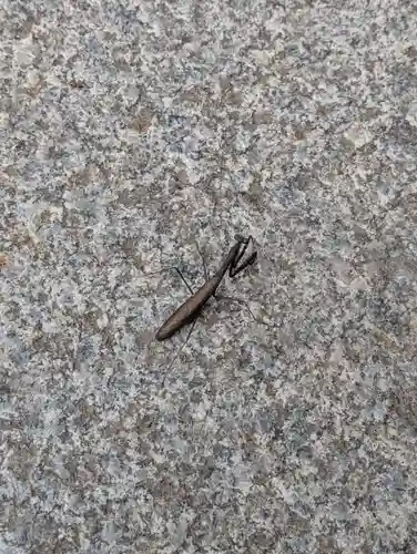 三春大神宮(福島県)