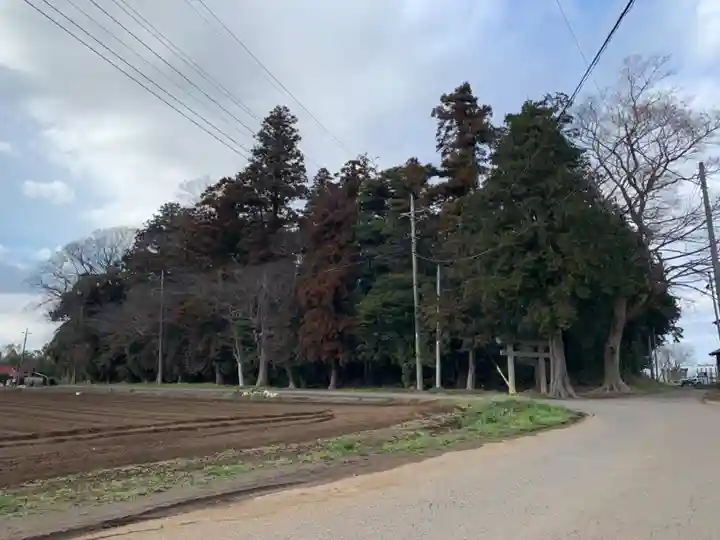 白幡神社(千葉県)