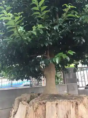 白山神社のその他建物