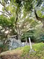 松山諏訪神社(岐阜県)