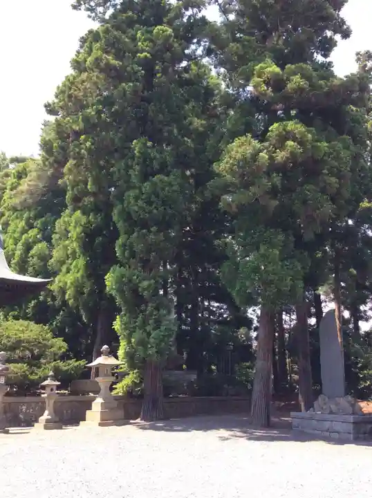 豊景神社の自然
