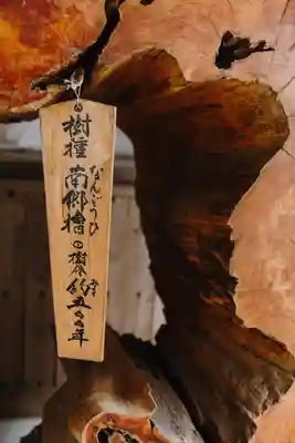 阿蘇神社(熊本県)