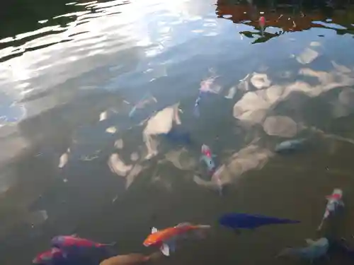 勝尾寺(大阪府)