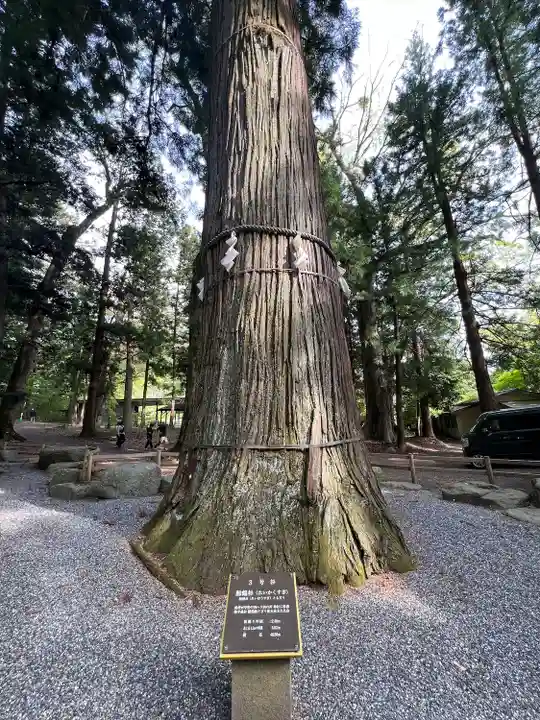 河口浅間神社(山梨県)