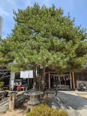 四柱神社(長野県)