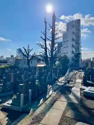 仙寿院の{uncategorized: "未分類", other: "その他", undefined: "問題あり", building: "その他建物", grave: "お墓", sacred_gate: "鳥居", guardian: "狛犬", statue: "像", buddha: "仏像", history: "歴史", nature: "自然", garden: "庭園", animal: "動物", pagoda: "塔", temizu: "手水舎", mountain_gate: "山門・神門", sanctuary: "本殿・本堂", subordinate: "末社・摂社", art: "芸術", scenery: "景色", jizo: "地蔵", ema: "絵馬", goshuin: "御朱印", omikuji: "おみくじ", items: "授与品その他", amulet: "お守り", goshuincho: "御朱印帳", eats: "食事", festival: "お祭り", votive_dance: "神楽", shichigosan: "七五三参", wedding: "結婚式", experience: "体験その他", initially: "初詣", around: "周辺", anti_infection: "感染症対策"}
