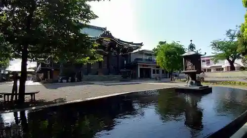 宗仲寺の庭園