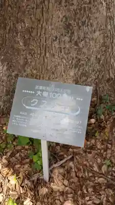 八幡社（下門八幡社）の自然