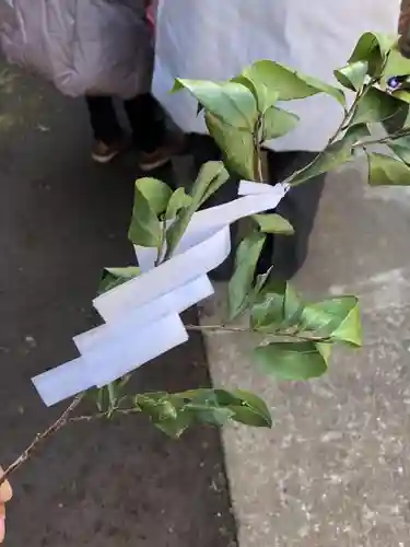 青葉台北野神社のお祭り