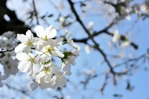 くまくま神社(導きの社 熊野町熊野神社)の自然