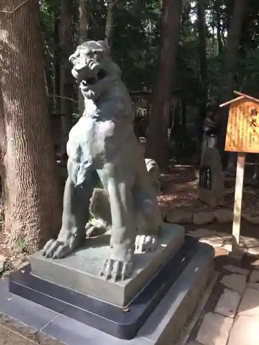 駒木諏訪神社の狛犬