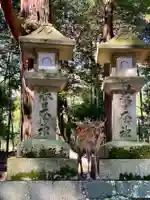 春日大社の動物