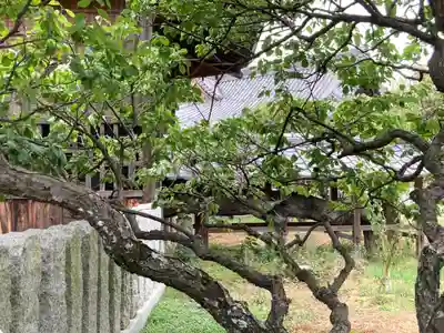 曽根天満宮のその他建物