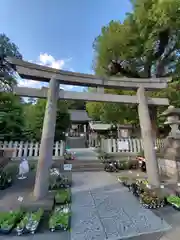 瀬戸神社の鳥居