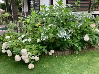 龍台寺(神奈川県)
