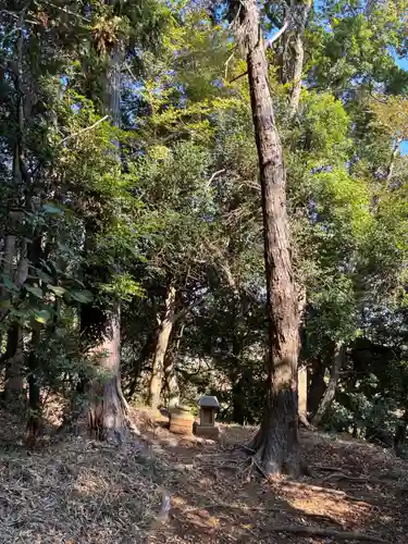 白幡神社(千葉県)
