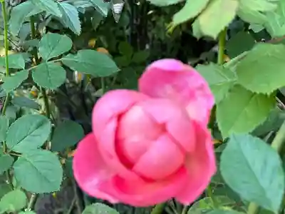 円通院(宮城県)