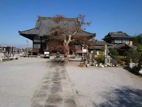 東光寺の本殿・本堂
