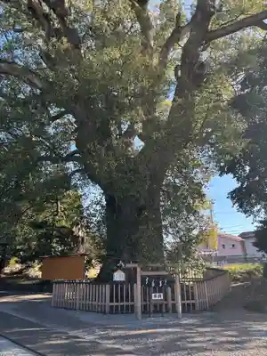 伊勢神明社(静岡県)