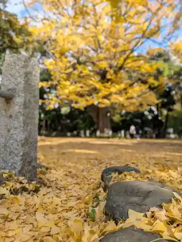 赤坂氷川神社(東京都)