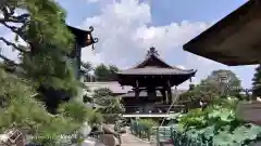 善生寺の建物その他