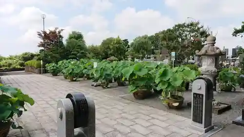 代通寺のその他建物