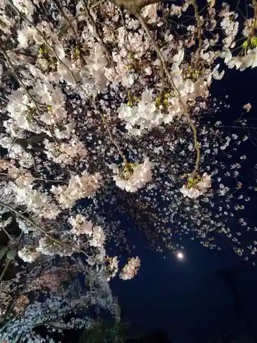 如宝寺(福島県)